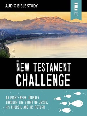 cover image of The New Testament Challenge